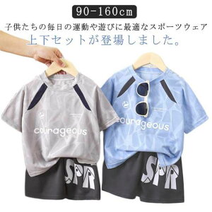 Y{ X|[cEFA ㉺Zbg LbY LbY  ^  q ZbgAbv V[gpc t tVc j̎q ̎q z  ct ۈ牀 c