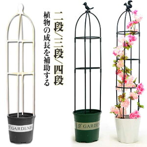 鐫A ߉\ |pi ȒP ȈՑg gX K[f op AT|[g  x   Ԏx o KN  K[fjO U IxXNA[` IxX