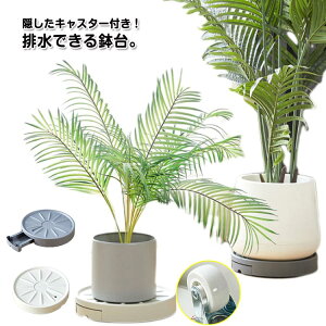 LX^[t u t[X^h Eh u  r  M M  Aؔ A v^[X^h rg[t ی^ ԑ LX^[t  O K