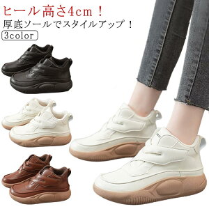 Ȃ Xj[J[ Xj[J[ O JWA Xb| RtH[gV[Y Xj[J[ ^C  V[Y C fB[X ₷ ₷ y  n