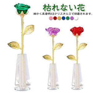 蕨 KN S[h t[ a LO NX}X u j KN   NX^ FB  gp Mtg A 1֑} LO a v[g ޏ  o [Y