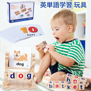 yyVX[p[SALE蔼zz؂̂ pwK pPwK q cp ؐ mߋ eb\[ tHjbNX tbVJ[h40pcs ςݖ  2 3 AwO ct 