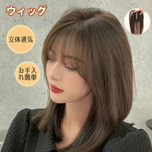 ウィッグ 部分かつら 人毛100% ボリュームアップ 分け目 薄毛隠し つけ毛 白髪 女性 カツラ ウイッグ ポイントウイッグ 増毛部分かつら 部分ウィッグ 自然 リアル人工頭皮 分け目 隠し ヘア
