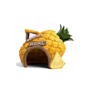 ঒ VF^[ t[cVF^[ B oXLOX|bg  ঒މB  gJQ T  VF^[  J   Mы nX^[ ঒   { i