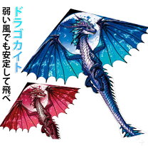 楽天市場】龍 凧の通販