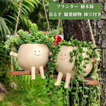 楽天市場】超 ミニ 盆栽（植木鉢・プランター｜ガーデニング・農業 