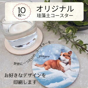 yvoɎc z zIWiR[X^[  ꏤi Y 킢 zR[X^[  􂦂  ~` v[g Mtg 蕨 JԂg G E