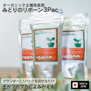 yI[KjbNyǍ ݂ǂ̃{[z  K[fjO Ő y ͔ _ ƒ؉  A t ͂t  TCN TXeBiu v^[ I[Kjb