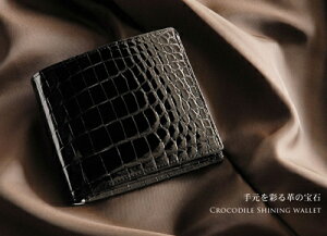 { iC NR_C܂z^o^VCjOdグ (No.3359s)ySANz