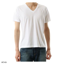 【2枚組】ヘインズ Hanes 半袖 Vネックシャツ Tシャツ 5.3oz メンズ H5355 ショートスリーブ ジャパンフィット Japan Fit 白T シンプル カジュアル 2枚セット