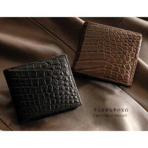 {@iCNR_C܂z^o^}bgdグ (No.3359)ySANz