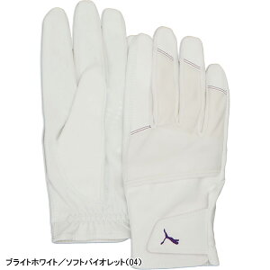 v[} St StO[u VhE EB^[ O[u p ~p jZbNX 042060 PUMA GOLF 2025NH~f h JC|Pbgt