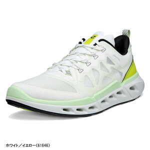 �y�ő�2,000�~OFF�N�[�|���z�z�I4��20�F00�`10�� 01�F59����I�z �G�R�[ ECCO �X�j�[�J�[ �o�C�I�� 720 �����Y 850314 �E�H�[�L���O �^�E�����[�X �A�E�g�h�A �y�� Biom 720 Men 2026�N�t�ă��f�� 61644 61645 6