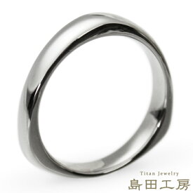 純チタン 指輪 リング チタンリング 単品 金属アレルギー対応 ノンメッキ ノンコーティング 日本製 刻印無料 メンズ レディーストライアングル 三角 セミオーダー 幅4mm～5mm シンプル 着け心地重視 大きいサイズ可 R061記念日