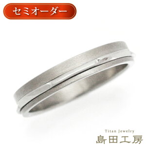 `^ w O `^O Pi AM[Ή mbL mR[eBO { 󖳗 Y fB[X  PT900 v`i Rr  Z~I[_[ 3mm,4mm V