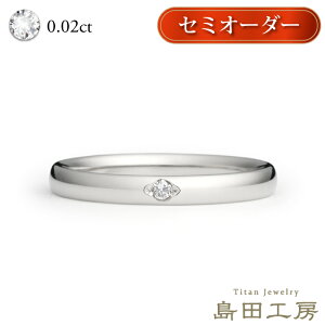 AM[Ή VR_Ch0.02ct Z~I[_[ { `^ O b PiSnd̃}bWO w _C \eBA mbL jbPt[傫T