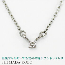 チタンネックレス 天然ダイヤモンド0.05ct 一粒石 ペンダント 純チタン アレルギー対応 チタンペンダント つけっぱなし 温泉OK シンプル おしゃれ 普段使い カジュアル チェーン レディース プレゼント ギフト 自分ご褒美 誕生日 記念日