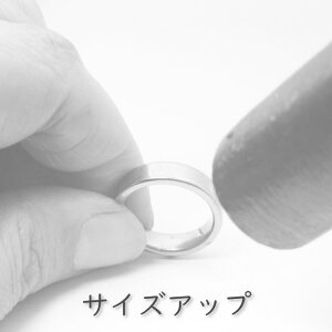 `^ÕTCYAbviXipAi31ȍ~j