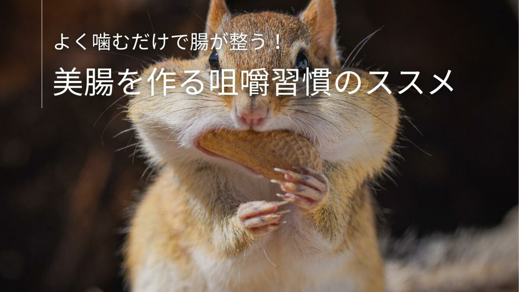 よく噛むだけで腸が整う！美腸を作る咀嚼習慣のススメ