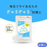 ぎゅるのミカタ 乳酸菌 サプリ お試し 1袋14粒 14日分 2週間分 生きた乳酸菌 短鎖脂肪酸 タンサ脂肪酸 カ…