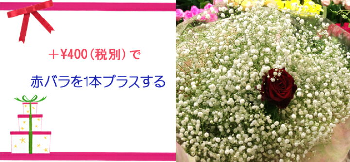 贅沢 かすみ草の花束お誕生日プレゼントにぴったり プレゼント ギフト 写真 かすみ草 カスミソウ 花束 ボリュームいっぱい 誕生日 母の日 Kg Scps Edu Hk