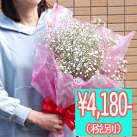 楽天市場 かすみ草 花束 切花 花 観葉植物 花 ガーデン Diyの通販