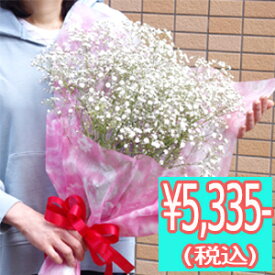 楽天市場 かすみ草 花束 切花 花 観葉植物 花 ガーデン Diyの通販 楽天市場 かすみ草 花束 切花 花 観葉植物 花 ガーデン Diyの通販
