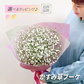かすみ草・カスミソウ・花束　ボリュームいっぱい　プレゼント　ギフト　写真　誕生日　母の日　プロポーズ