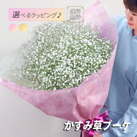 かすみ草・カスミソウ・花束　ボリュームいっぱい　プレゼント　ギフト　写真　誕生日　母の日　プロポーズ