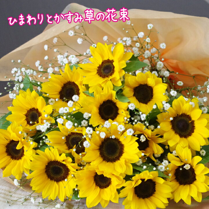 楽天市場 母の日 ひまわり 花束 送料無料 元気になる花 プレミアひまわり プリフラワー