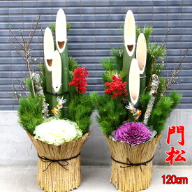 【12/25〜31の間にお届けです】迎春用門松　120-A　120cm　お飾り　お正月　門松　一対(2個セット)　生花　玄関　販売　正月飾り　大型 玄関 オフィス 会社 店 マンション