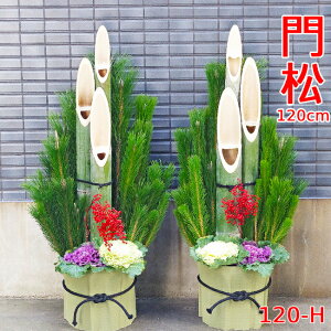 y12/25`31̊Ԃɂ͂łz}tp叼@120-H@120cm@@@叼@(2Zbg)@ԁ@ց@̔@ @^  ItBX  X }V