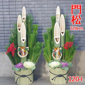 }tp叼@120-I@120cm@@@叼@(2Zbg)@ԁ@ց@̔@ @^  ItBX  X }V