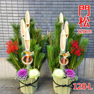 y12/25`31̊Ԃɂ͂łz}tp叼@120-L@120cm@@@叼@(2Zbg)@ԁ@ց@̔@@^  ItBX  X }V