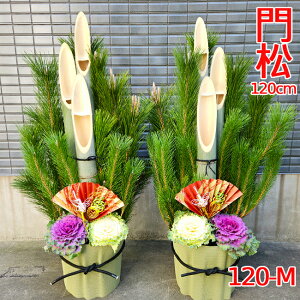 }tp叼@120-M@120cm@@@叼@(2Zbg)@ԁ@ց@̔@@^  ItBX  X }V