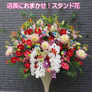 ���C���X�^���h�ԁ@���E�I�����W�E�ԁE���E�s���N�@�����@�\�O�@�k�V�n �~�i�~