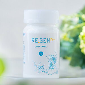 yщhq AoT_[zREGENiWFj H2 TvgD+@60JvZ@}CiX[ց@[vXւƓȋZpŐfJvZɓAf𔭐܂B