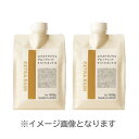 【2個セット】エクストラリウムアミノアシッドトリートメント2　...