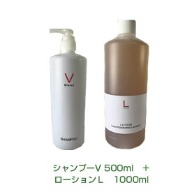 ディバイン・ローションL　1000ml　＋　ディバイン・ナノ シャンプーV　500ml　セット