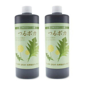 �y2�{�Z�b�g�z�A�[�f�����A ��|�J �i�����܁j 500ml�^���|�|�� �����M�t ���Y��������