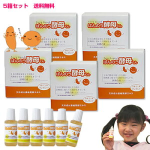 y5{v[gz΂̂yꂭ 5Zbgi30{jA[fA ԕAڂy݁Åɂ߁΂̂yꂭ@ ԕ΍΂̂yꂭ g  