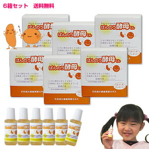 y6{v[gz΂̂yꂭ 6Zbg(36{)A[fA ԕɂy݁Åɂ߁