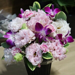 母の日 花束 カーネーション 生花の人気商品 通販 価格比較 価格 Com 母の日 花束 カーネーション 生花の人気商品 通販 価格比較 価格 Com