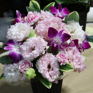 PURIZA ピンクトルコ桔梗とデンファレ フラワーギフト 母の日 ギフト アレンジメント 誕生日 プレゼント ピンク