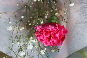 PURIZA yԉԑz̓Mtg ԐԃJ[l[VƃXv[J[l[V ԑ flower a  JX~t  u[P ̓v[g lC 1{ 2025N lC  40 50 60