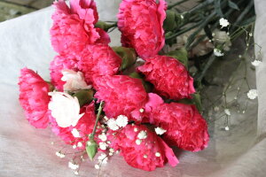 PURIZA yԉԑz̓Mtg 12{ԃJ[l[VƃXv[J[l[V ԑ flower a  JX~t  u[P ̓v[g lC 2025N lC  40 50 60 iFZ