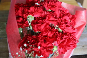 PURIZA yԉԑz̓Mtg 20{ԐԃJ[l[VƃXv[J[l[V ԑ flower a  JX~t  u[P ̓v[g lC 2025N lC  40 50 60 FZ