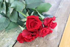 「生花」バラ 5本 色選べる 最高級な花材を提供 市場直送 「情熱」 「熱烈な恋」 花束 アレンジメント ブーケ 50cm