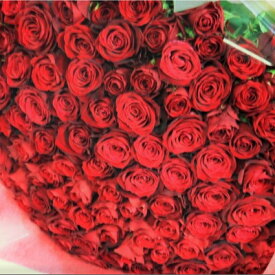 【花束】【国産最高級バラ】【プロポーズ】バラの花束ギフト108本！好きな色を選んでください 生産者直送だからバラの鮮度が違う！赤い薔薇 御祝い 花束プロポーズ用 記念日 最高級な薔薇 トップローズ 秀品のバラ【送料無料】