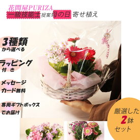 【PURIZA】 母の日 花 鉢植え 厳選した2鉢セット プレゼント 花鉢 敬老の日 誕生日祝い garden ギフト 母の日のプレゼント